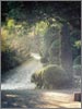 �g�t